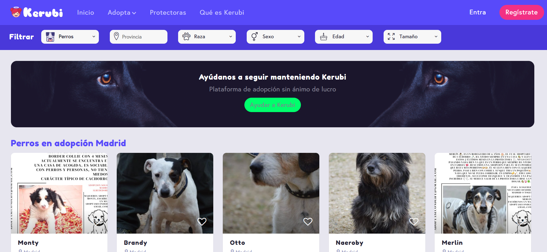Como diseñar un sistema automatizado y genérico de recopilación de datos usando Selenium y análisis semántico